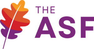 Logo Apache Superset
